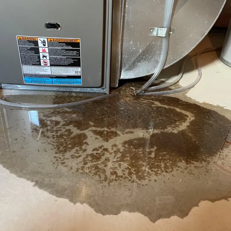 Appliance Leak Cleanup in Buffalo, SD