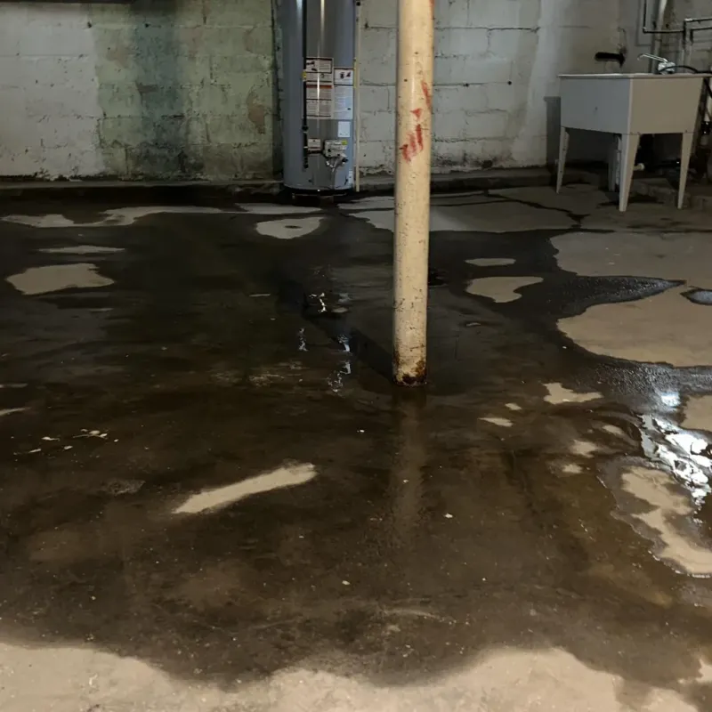 Emergency Water Extraction And Removal in Buffalo, SD